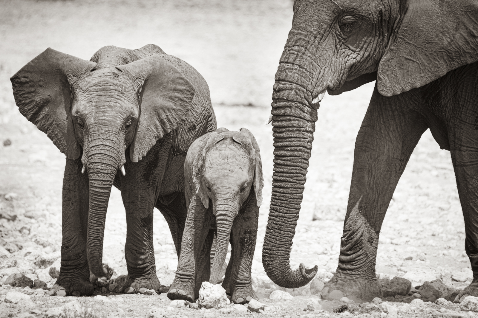 Africa-14